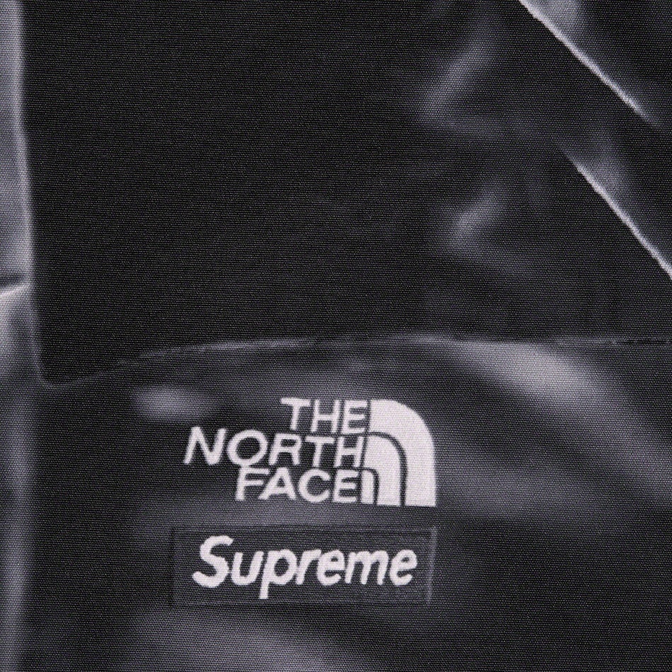Supreme®/The North Face® Trompe L’oeil Printed Mountain Pant view 4